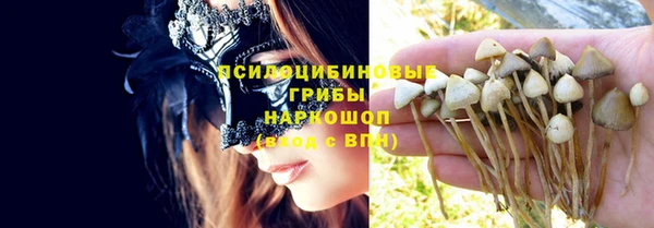 прущий лед Ладушкин
