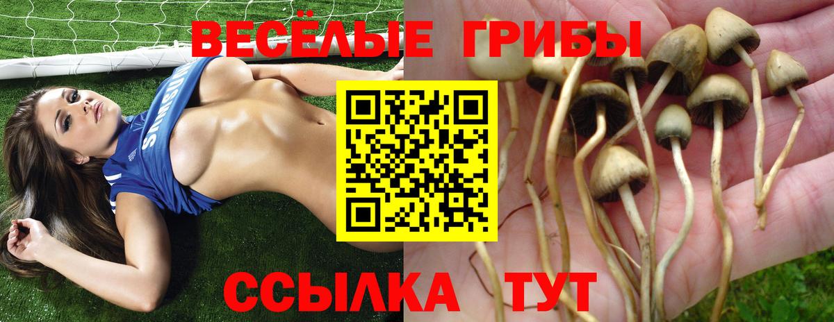 Можга  Галлюциногенные грибы мухоморы  Вход с VPN 