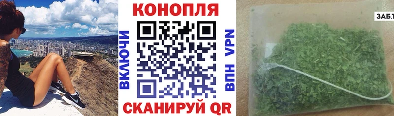 МАРИХУАНА конопля  Можга 
