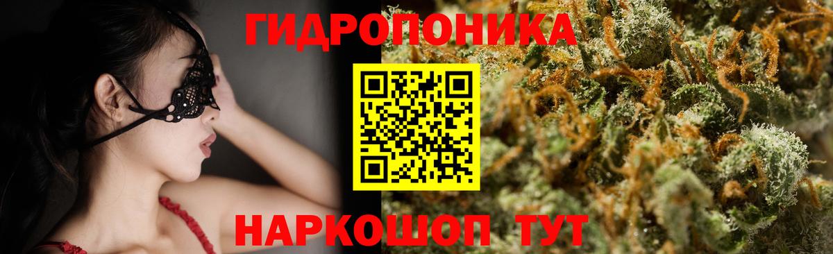 Конопля White Widow Можга